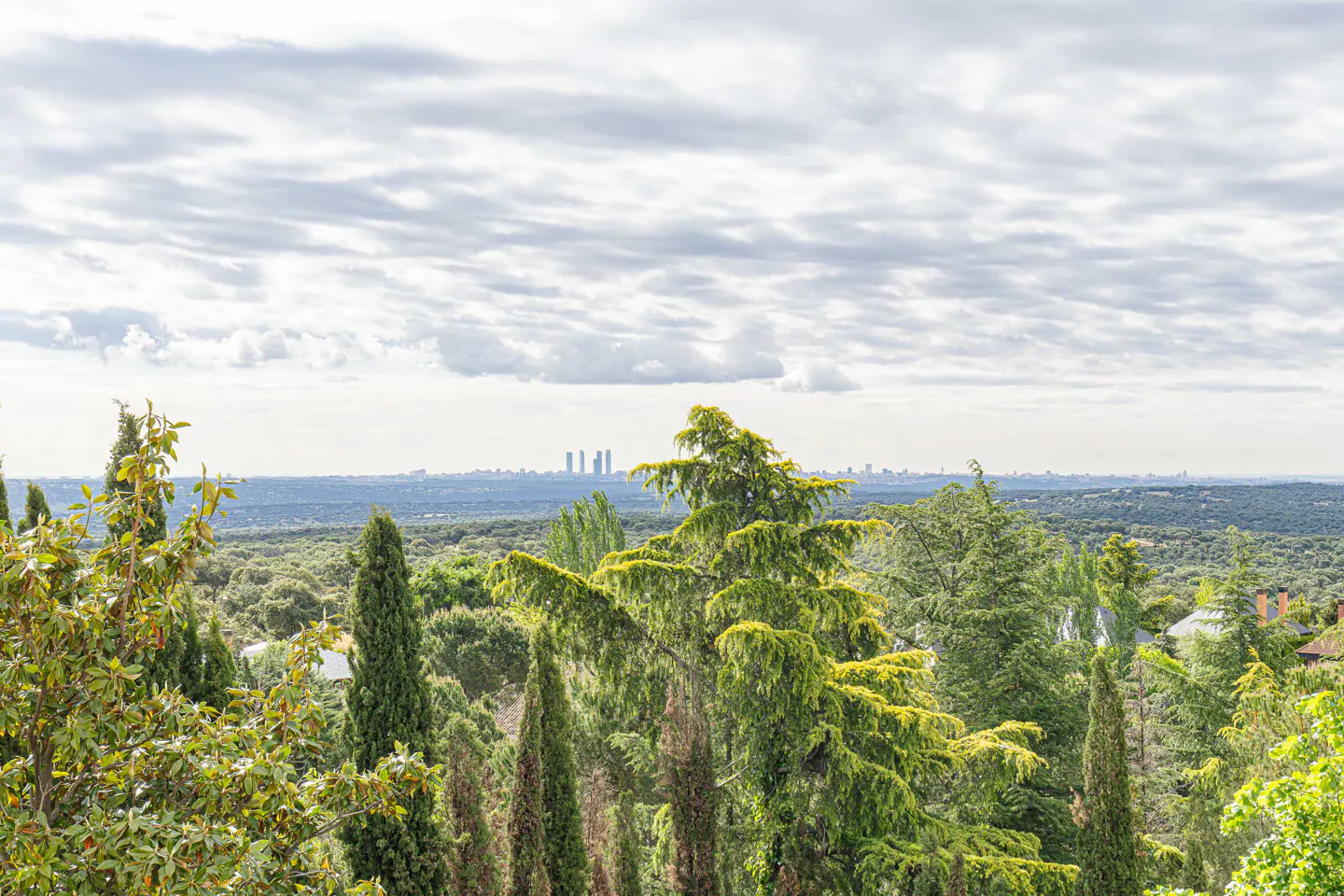 View of Madrid skyline from a green, tree-filled area under a cloudy sky.