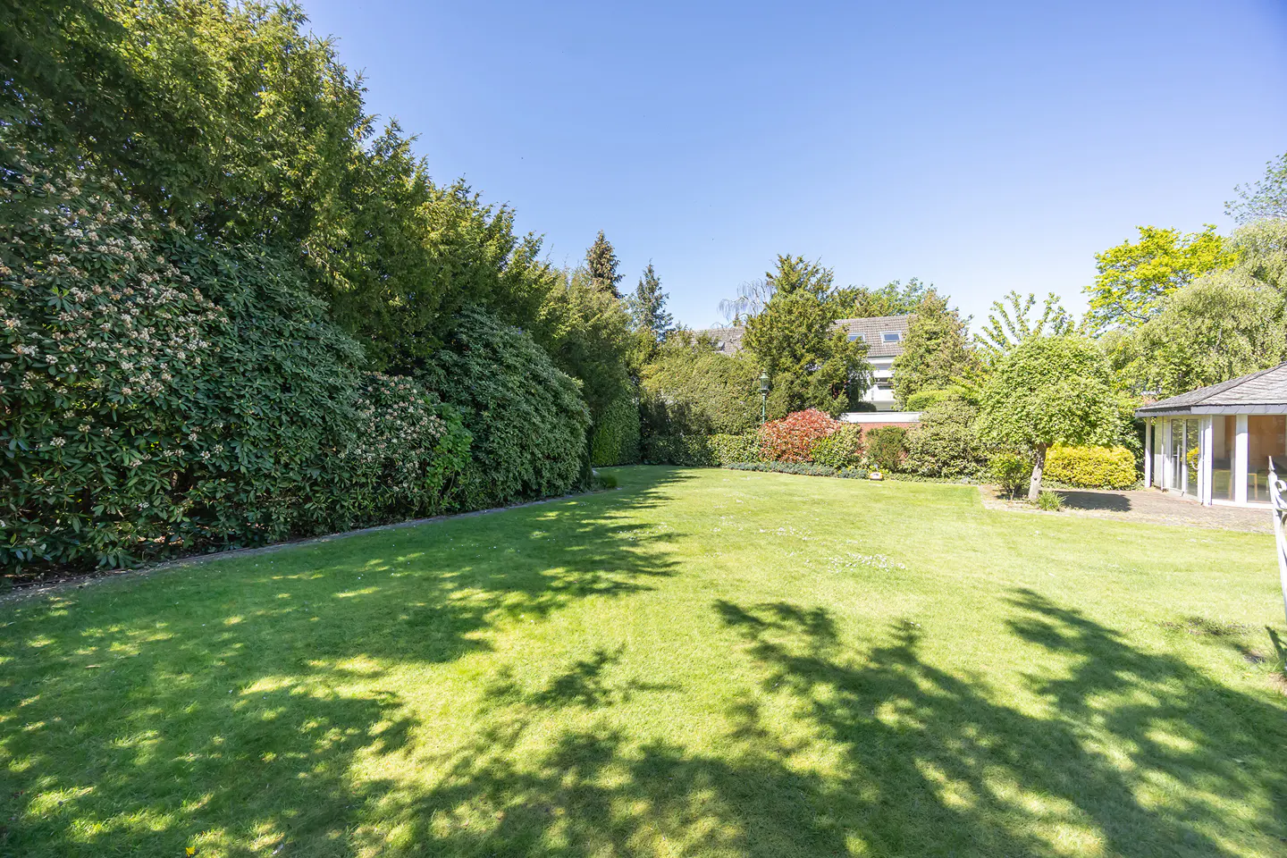 A large green lawn is surrounded by tall green trees and bushes, with a building visible in the background.