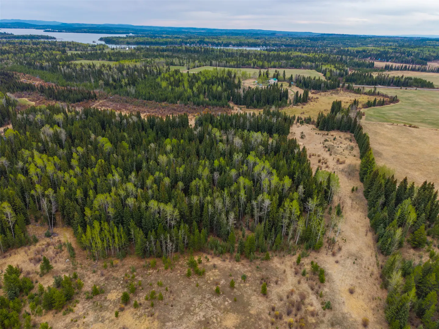 Aerial view of a lush green forest with a lake in the distance under a cloudy sky.