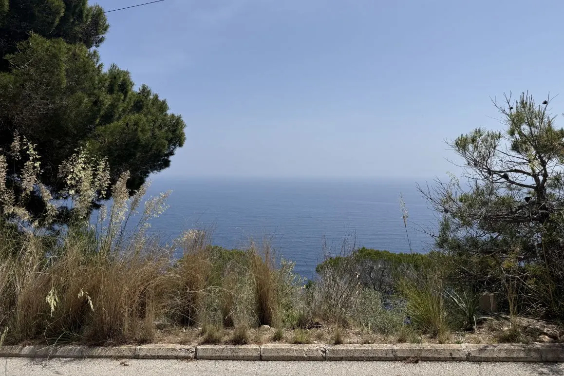 Ocean view from a hillside with trees and tall grass. Blue sky.