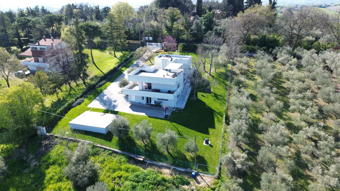 Aerial view of a modern, white, two-story house surrounded by green lawns and olive trees on a sunny day.