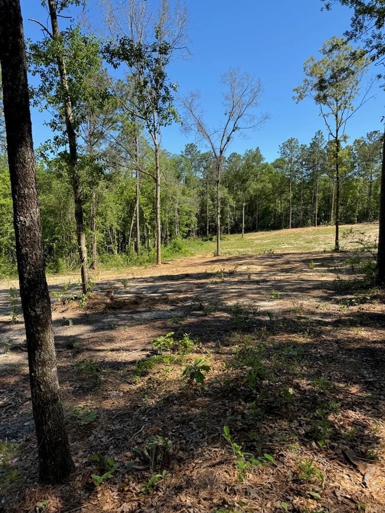 5 Acre Homesite Where You Can Build Your Dream Escape