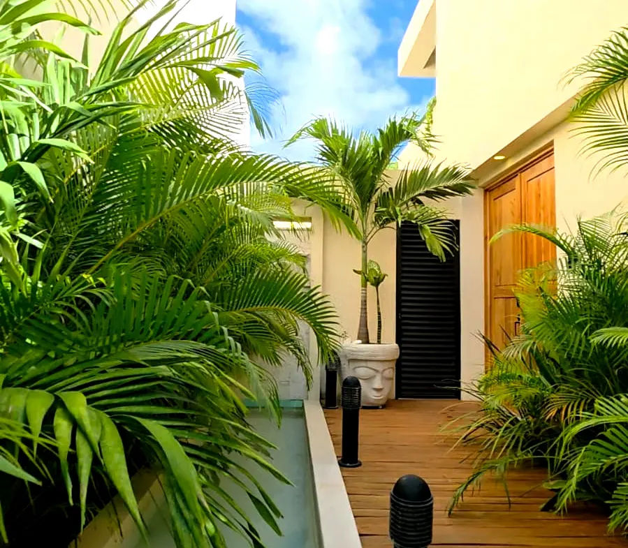 Lush tropical courtyard with palm trees, a wooden deck, and a small pool. A building with a wooden door is visible in the background.