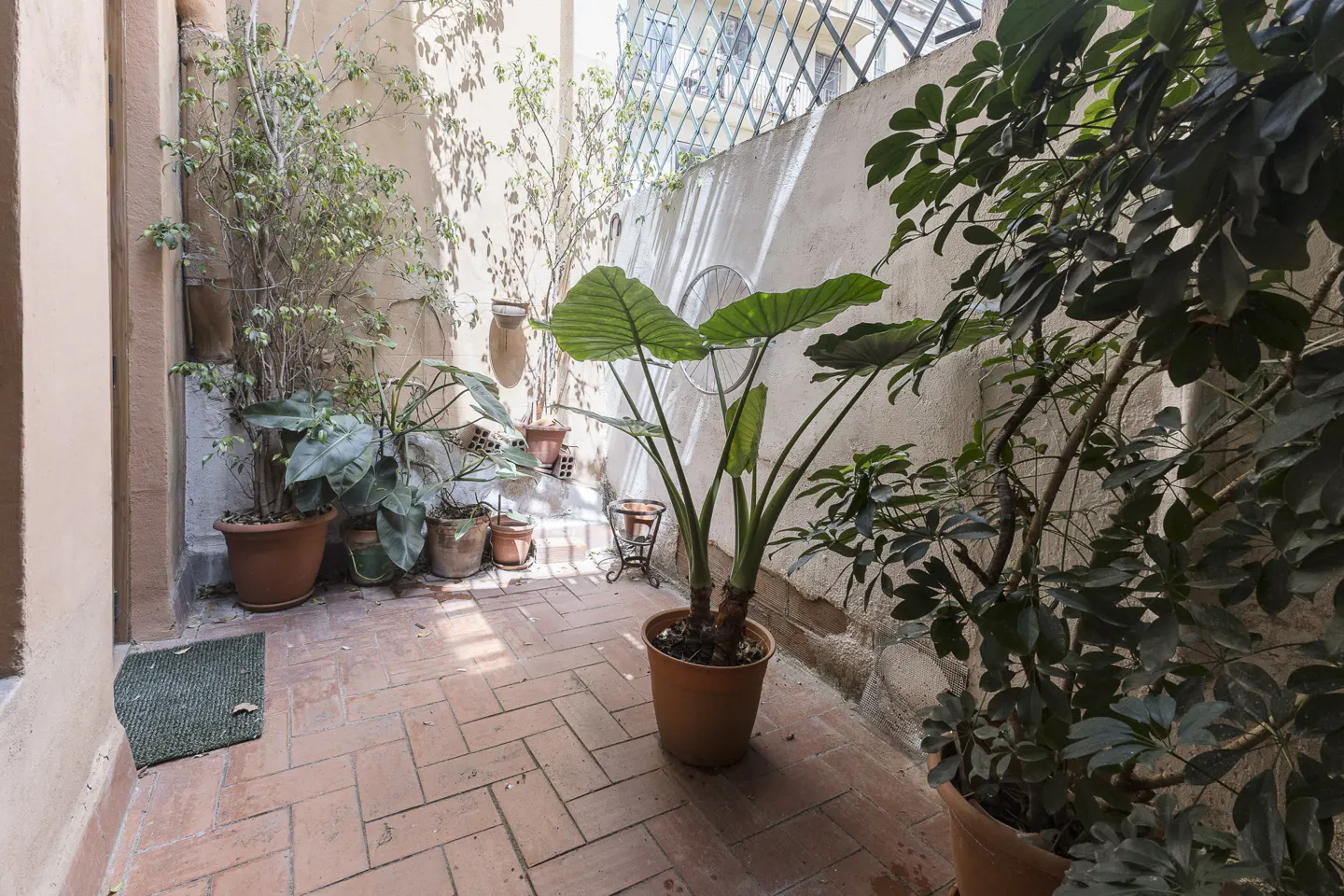 A small courtyard with brick flooring and potted plants. A trellis is visible on the wall.