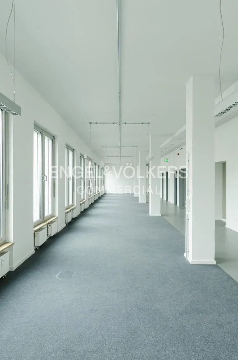 Bright, empty office space with gray carpet, white walls, and a row of windows. White support columns are spaced throughout the room.