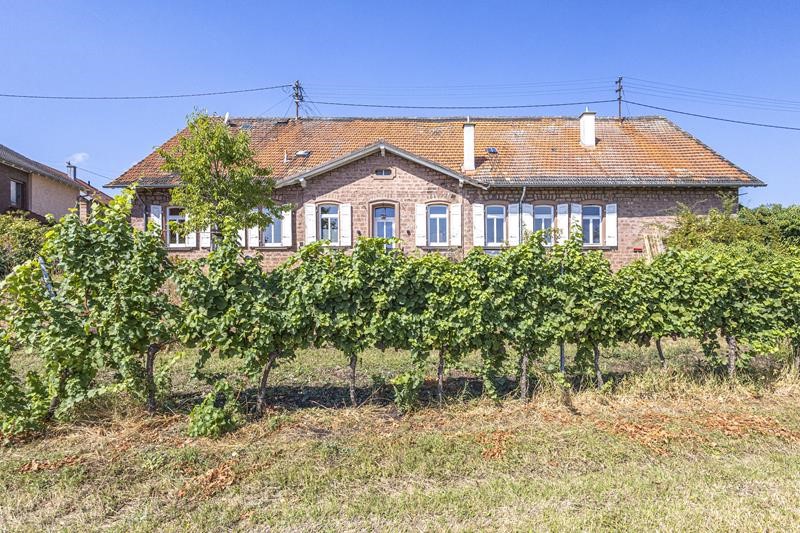 Historisches Schmuckstück in Panorama-Weinbergsrandlage mit weiterem Ausbaupotenzial!
