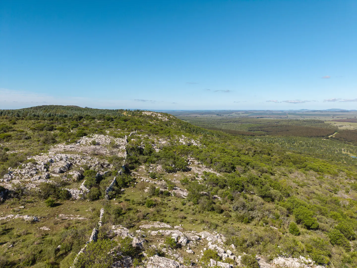Landscape view of a rocky, green hillside under a clear blue sky. Trees and shrubs cover the terrain. Distant flatlands are visible.