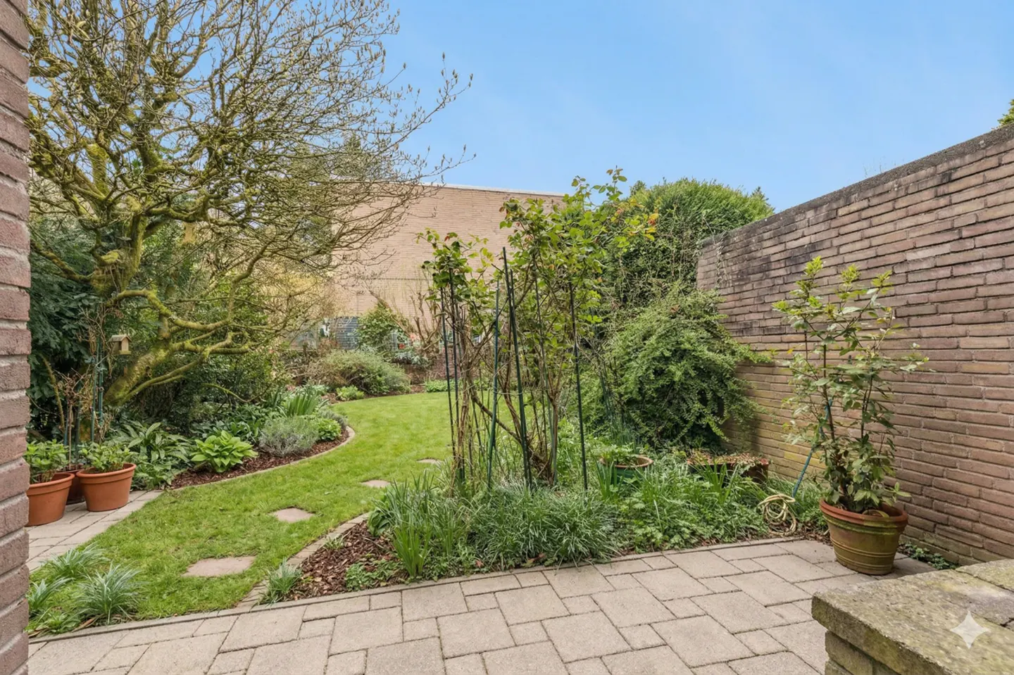 A backyard with a green lawn, stone path, brick wall, and various plants under a blue sky.