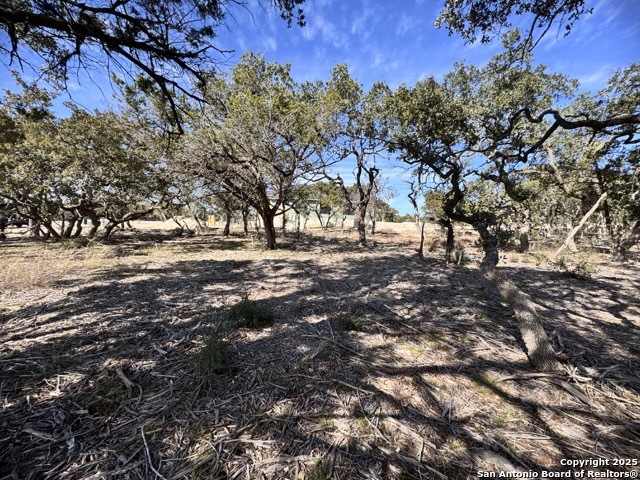 2.55 Acres in Belle Oaks!