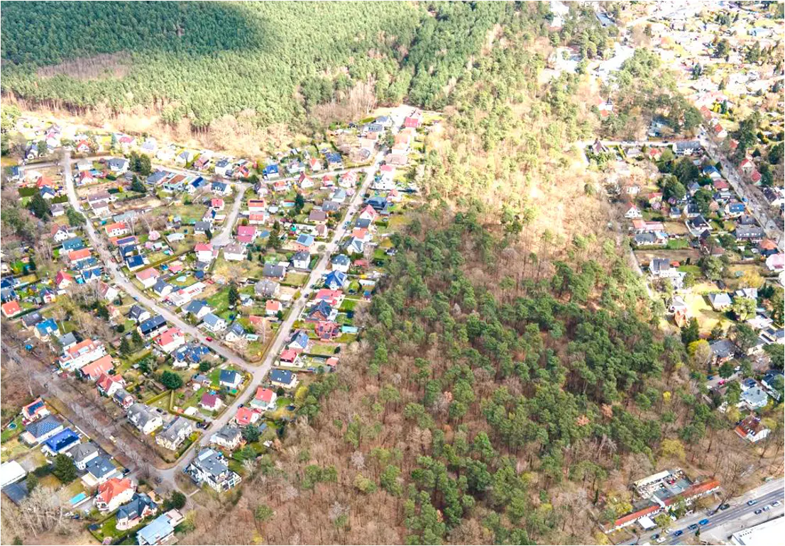 Aerial view of a neighborhood with houses, roads, and trees. A forest borders the residential area.