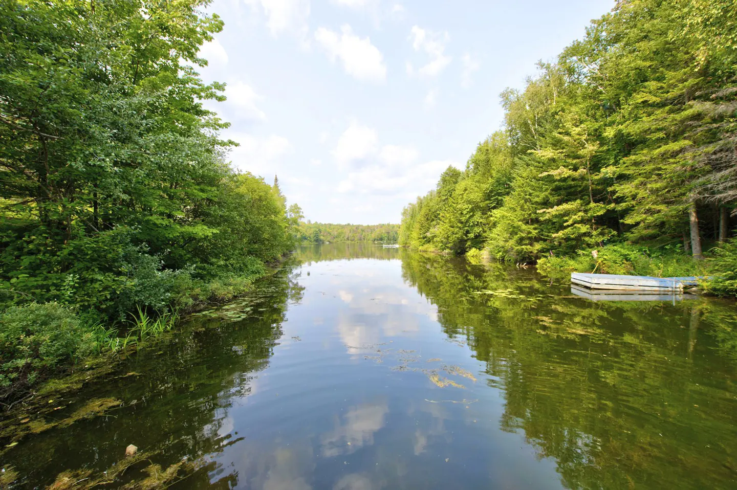 A calm river flows between green trees under a blue sky with white clouds. A small dock sits on the right side of the river.