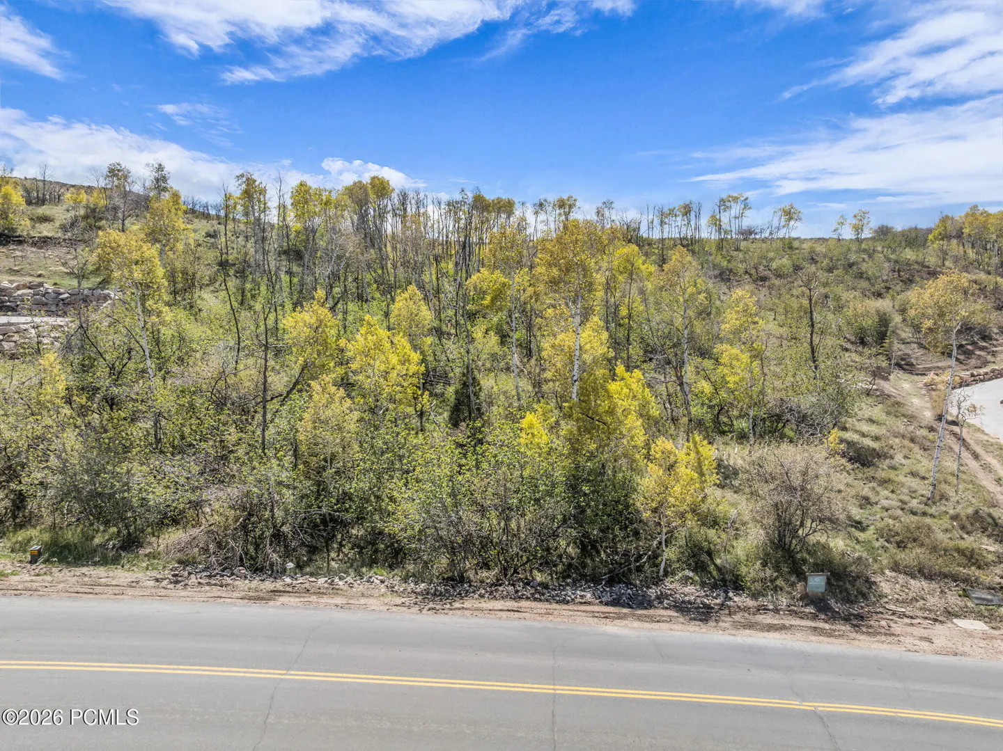 A hillside lot with green and yellow trees under a blue sky, viewed from a road with double yellow lines.