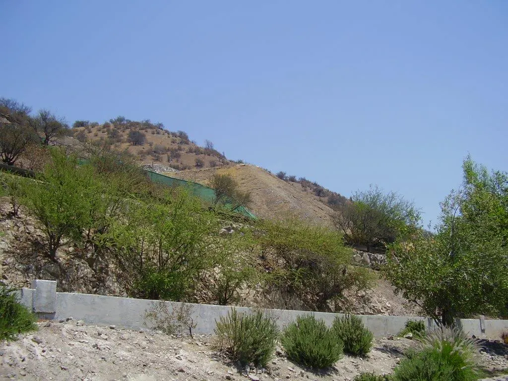Hilly landscape with green bushes and trees under a clear blue sky. A concrete wall runs along the base of the hill.