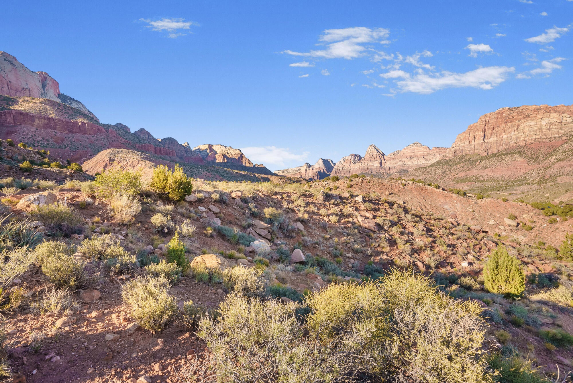 The Primary Vantage Above the Zion Skyline
