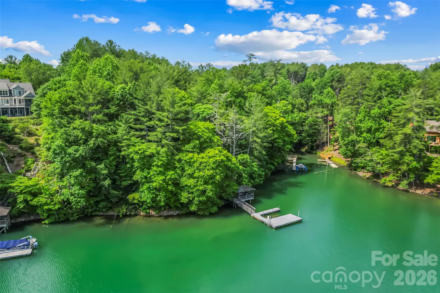 Aerial view of a green lake surrounded by dense forest, featuring a wooden boat dock and a house nestled in the trees.