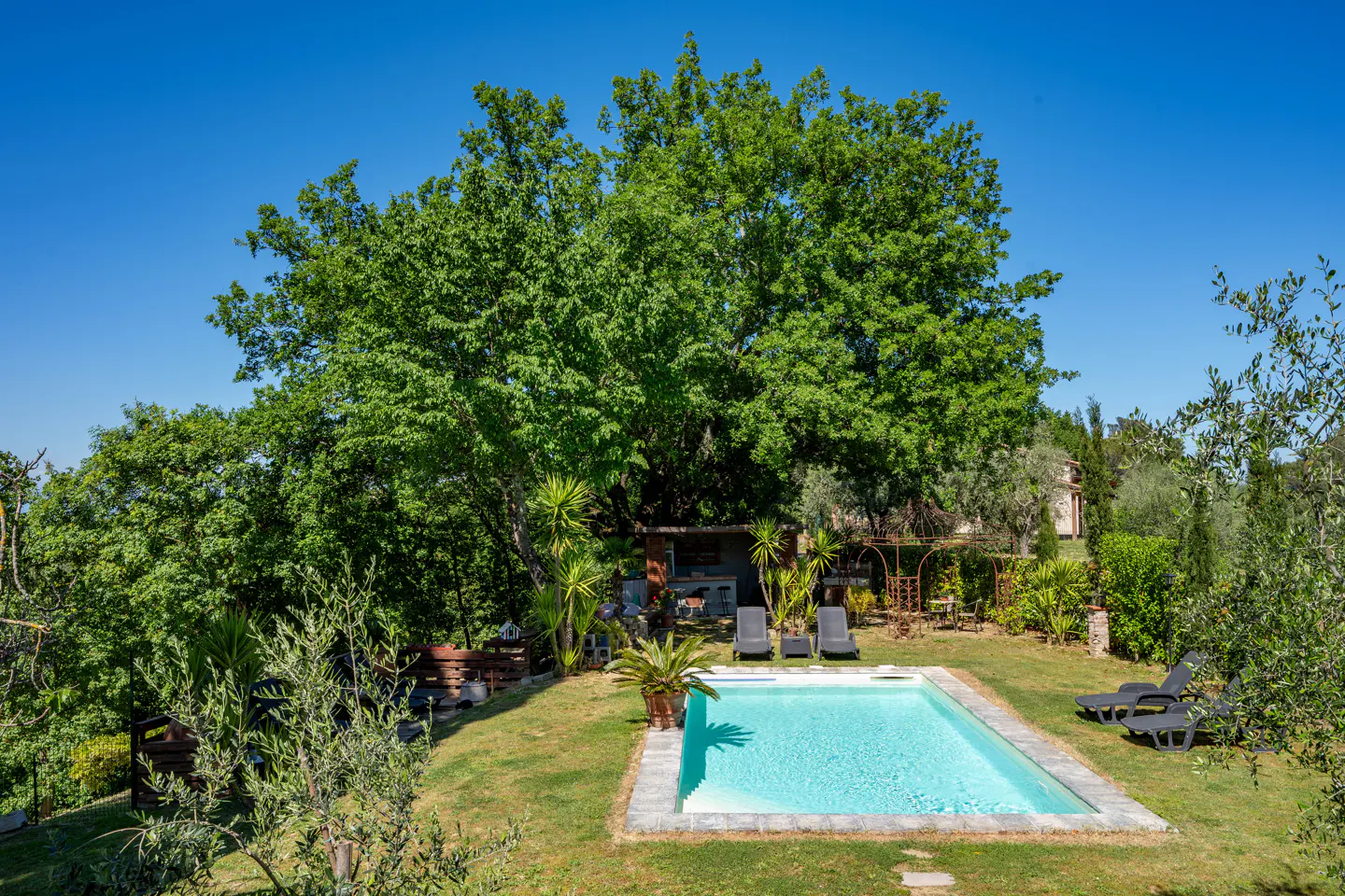 Outdoor pool with clear blue water, surrounded by green grass, trees, and lounge chairs under a clear blue sky.