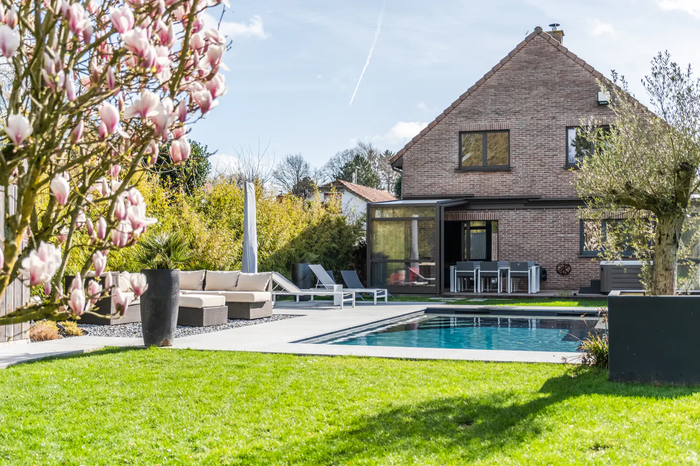 Backyard view of a brick house with a pool, patio furniture, and a blooming magnolia tree on a sunny day.