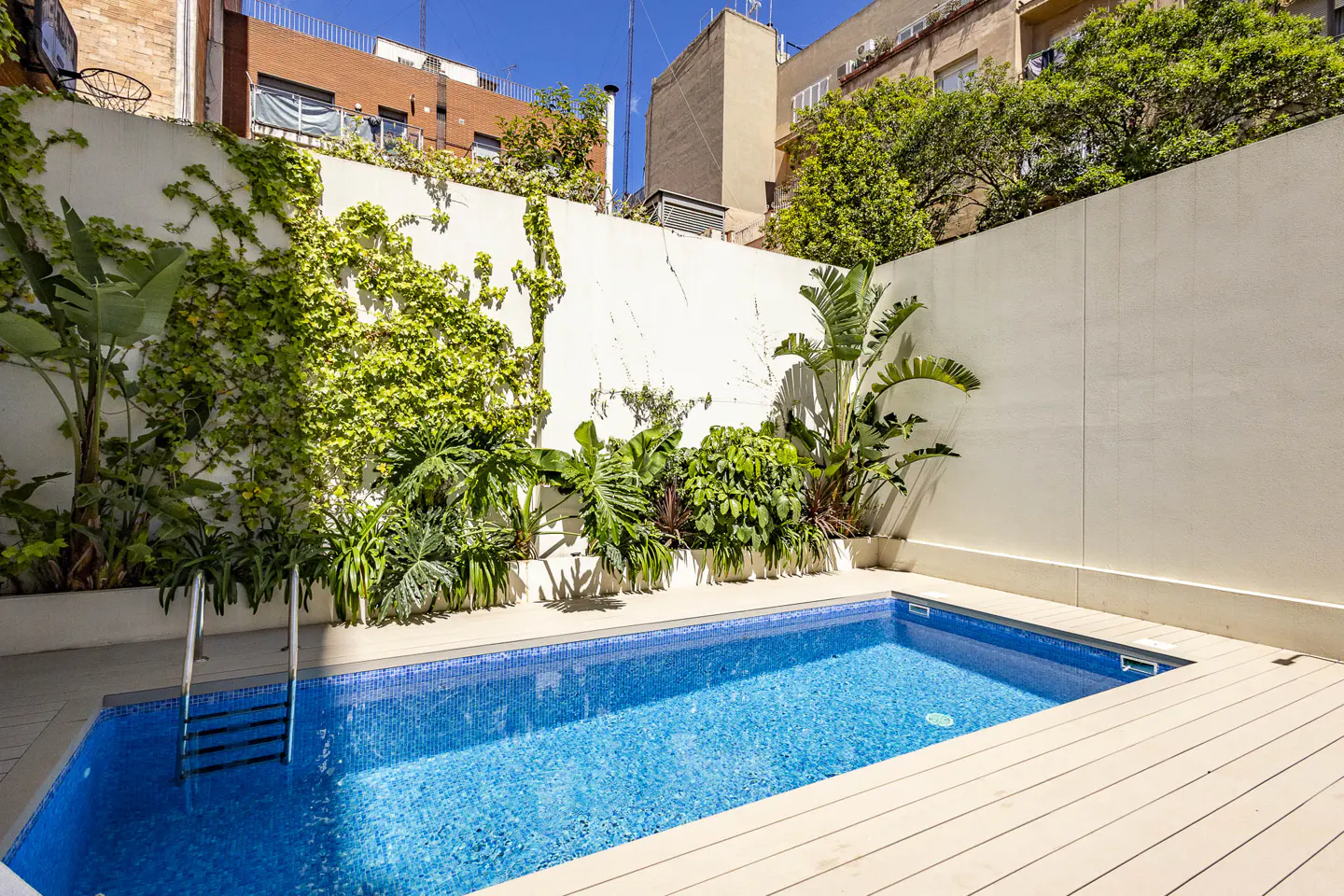 A backyard pool with blue tiles and a wooden deck is surrounded by a white wall with green plants.