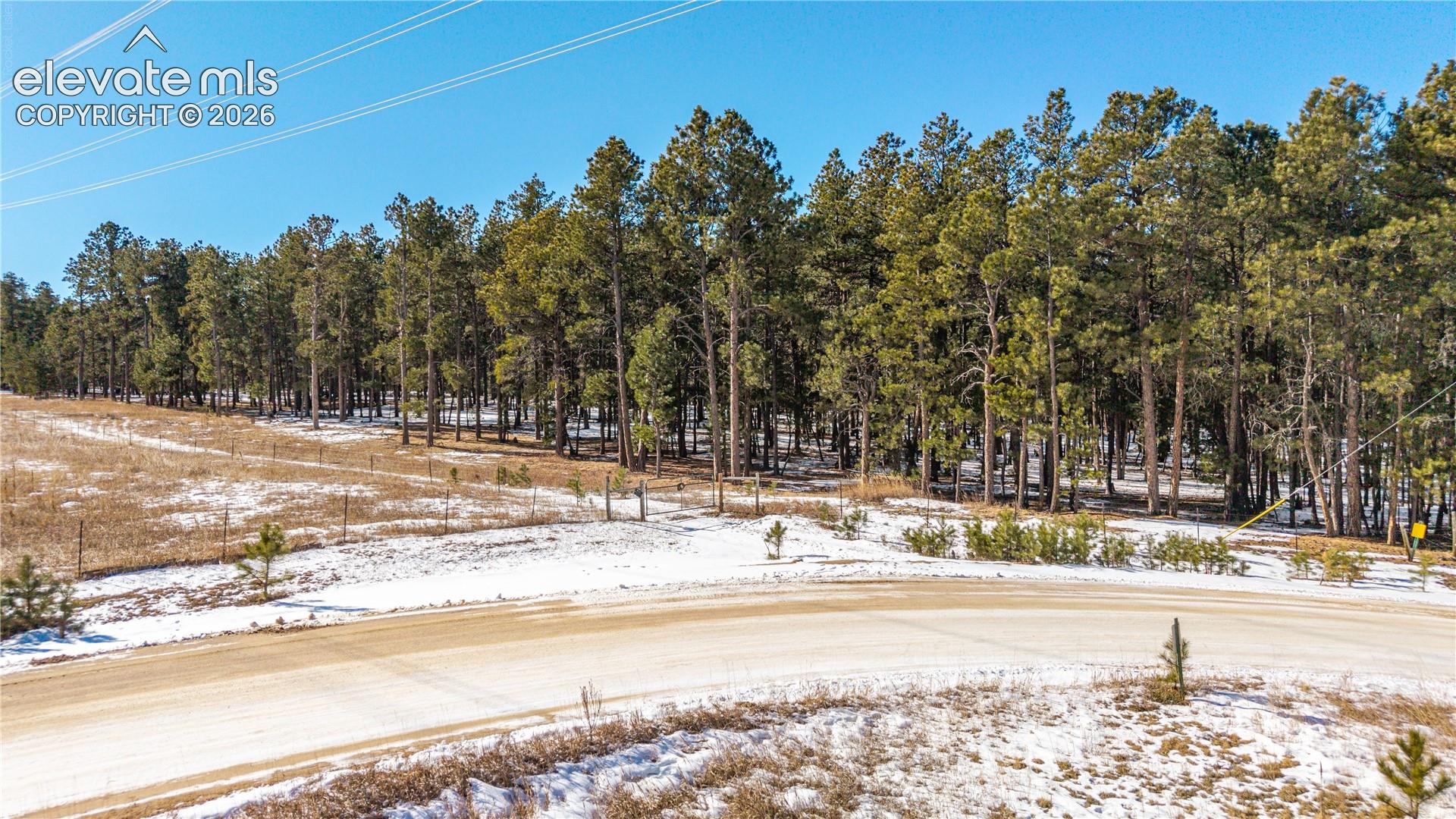Private 7.5 Acre Lot With Mature Pines
