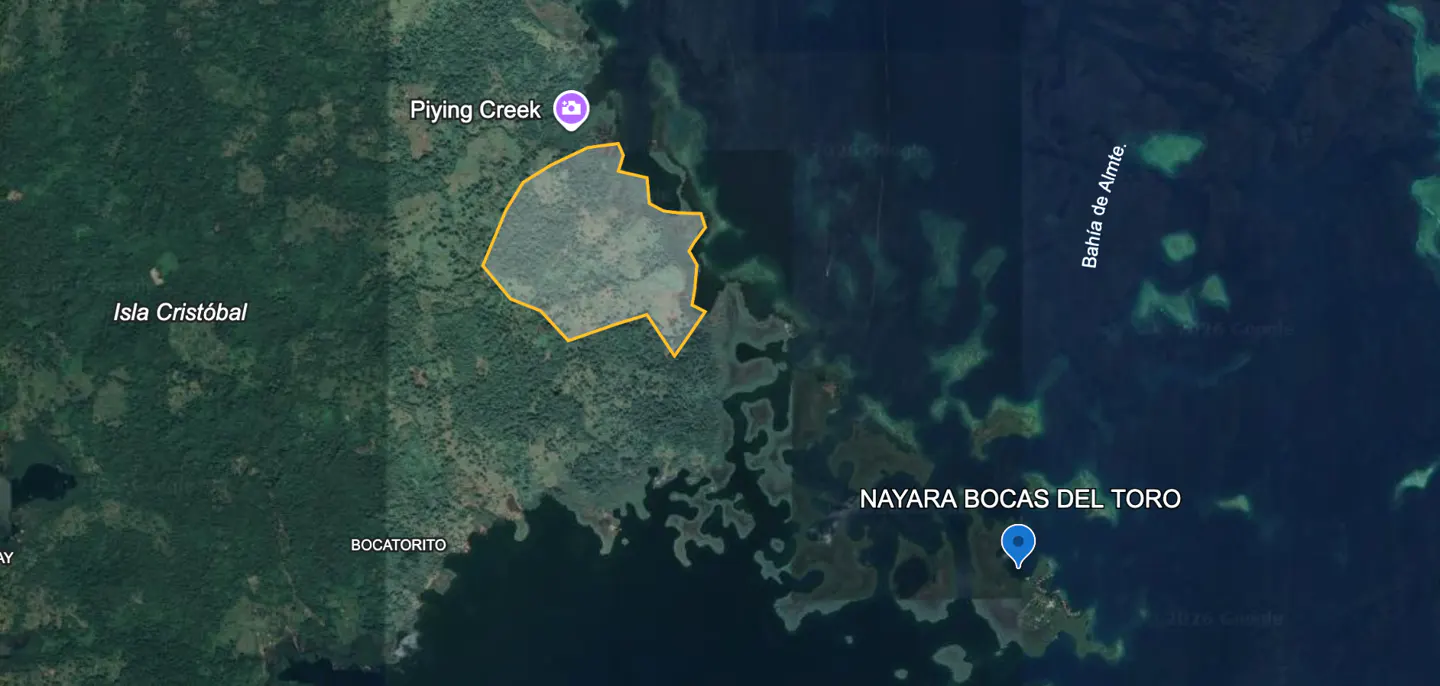 Aerial view of Isla Cristóbal, Panama, with Plying Creek and Nayara Bocas Del Toro marked. Land is green, water is blue.