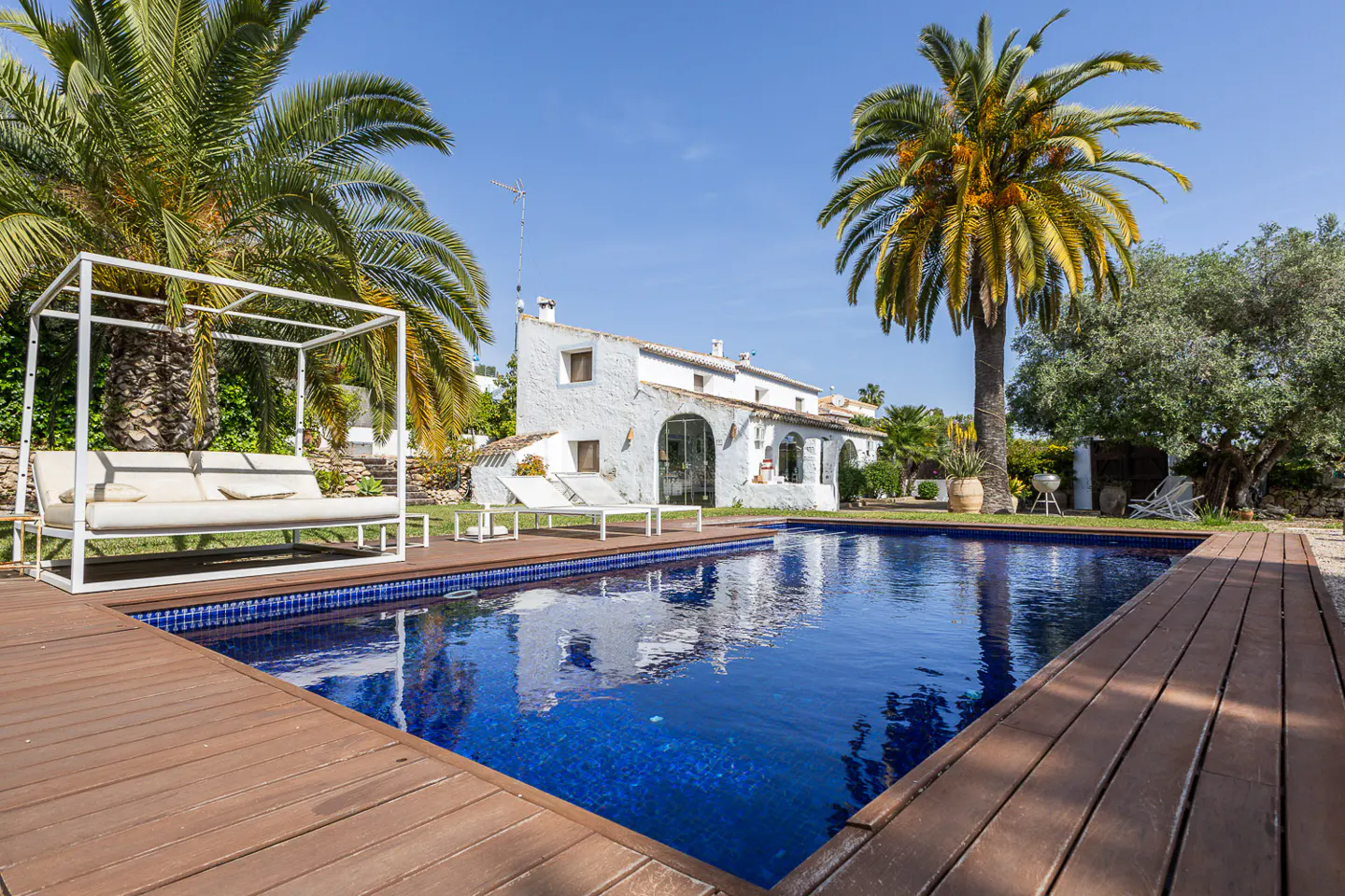 A bright blue pool with a wooden deck, a white lounge bed, and a white house in the background. Palm trees surround the area.