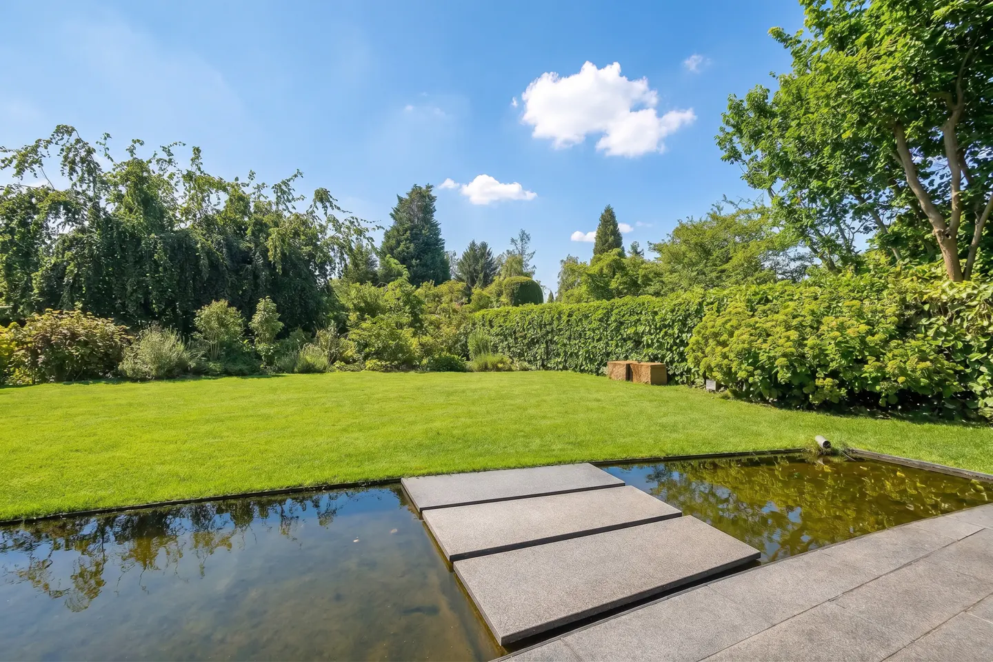 A backyard with a pond and stepping stones, green grass, trees, and a blue sky with white clouds.
