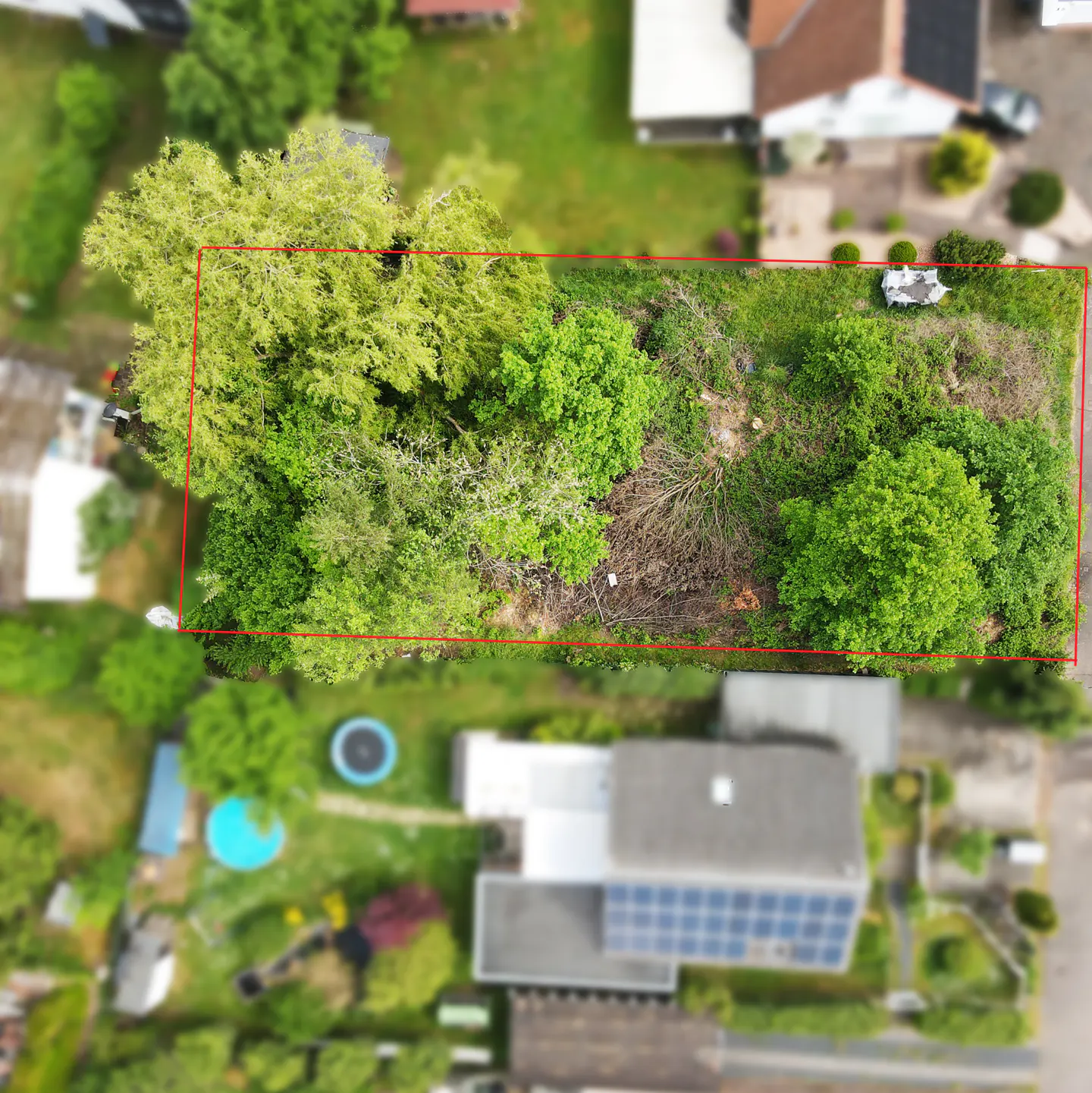 Aerial view of a rectangular lot outlined in red, featuring trees, grass, and some debris. Houses are visible in the blurred background.