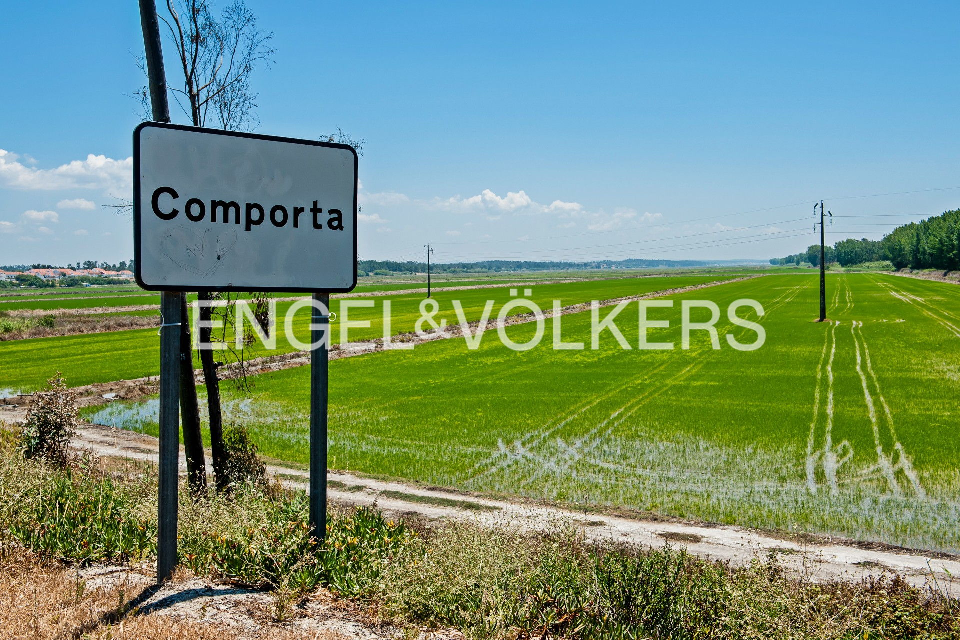 Plot for Housing and Commerce