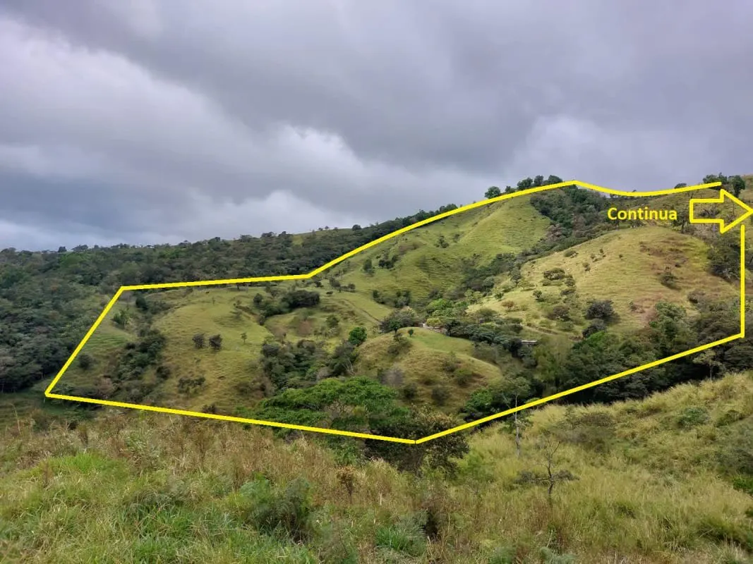A yellow outline highlights a large, hilly, grassy plot of land under a cloudy sky, with an arrow indicating it continues.