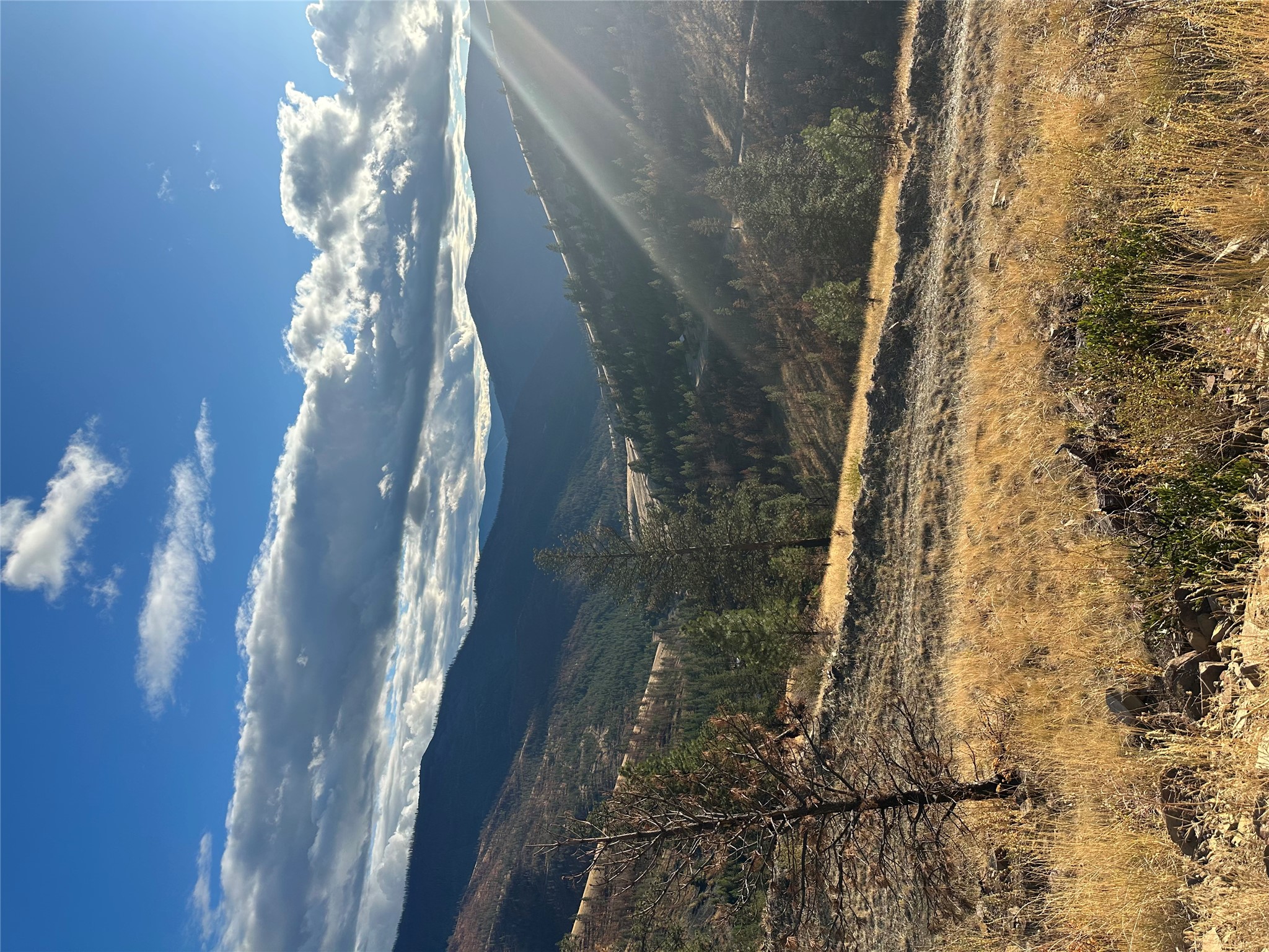 160+ Acres of Hunting Land, Bordering State Land