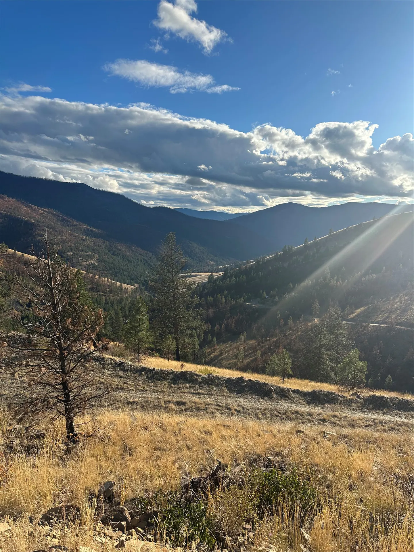 Scenic view of a valley with mountains, trees, and golden grass under a blue sky with scattered clouds. Sunlight streams down the hillside.