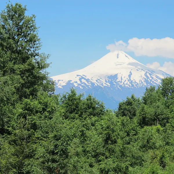 Scenic view of a snow-capped mountain against a blue sky, framed by lush green trees in the foreground.