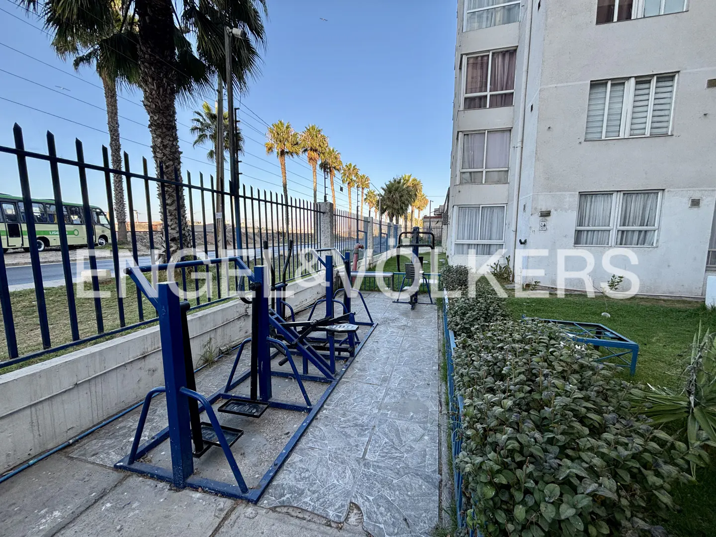 Outdoor gym area with blue equipment next to a building and palm trees under a blue sky.
