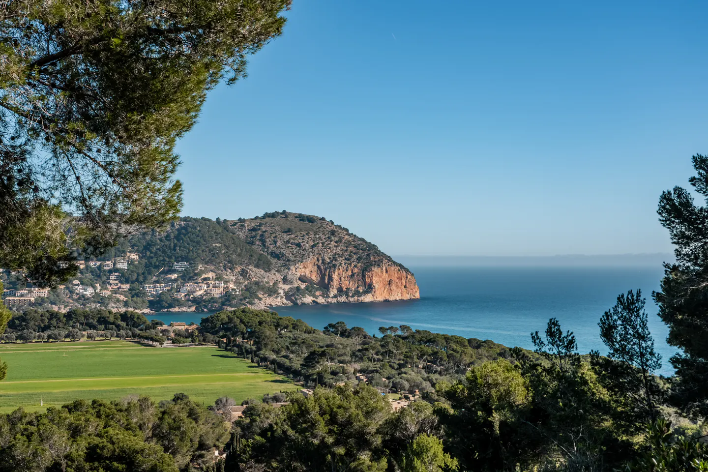 Scenic view of a coastline with a rocky cliff, green fields, and trees under a clear blue sky.