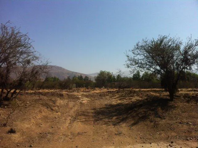 A landscape view of a dry, brown field with trees and a mountain under a clear blue sky.