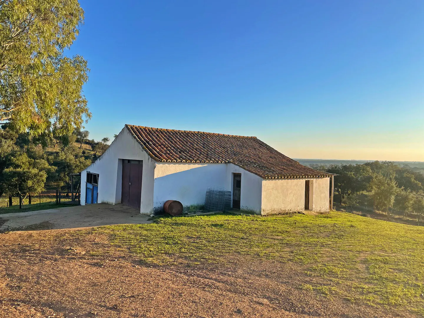 A white barn with a red tile roof sits on a grassy hill under a clear blue sky.