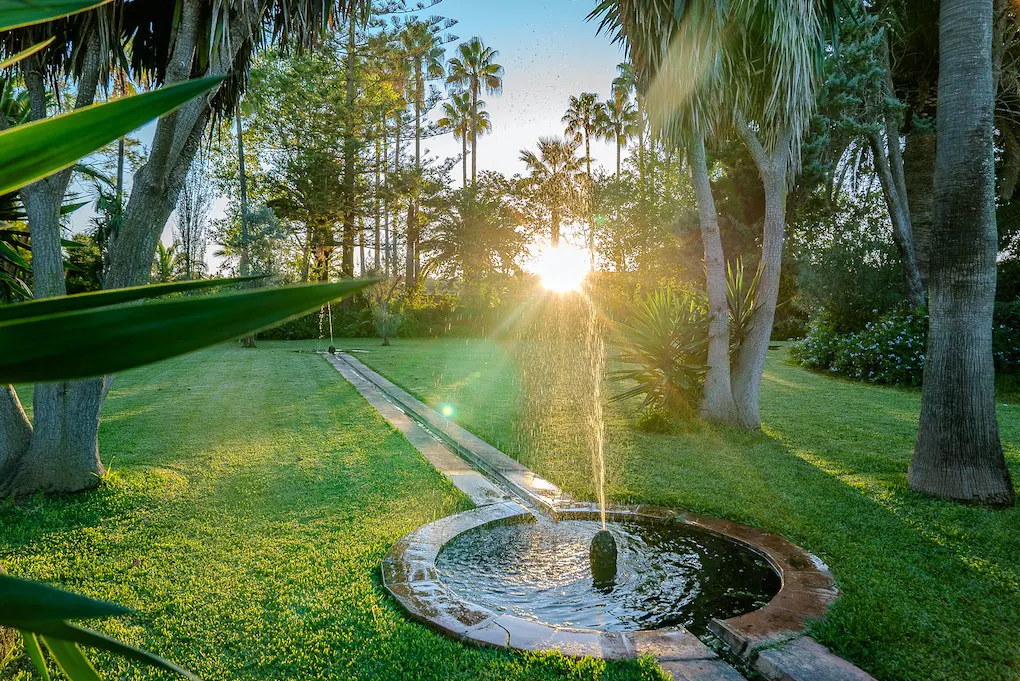 A circular stone fountain sprays water in a green lawn, with palm trees and sunlight in the background.