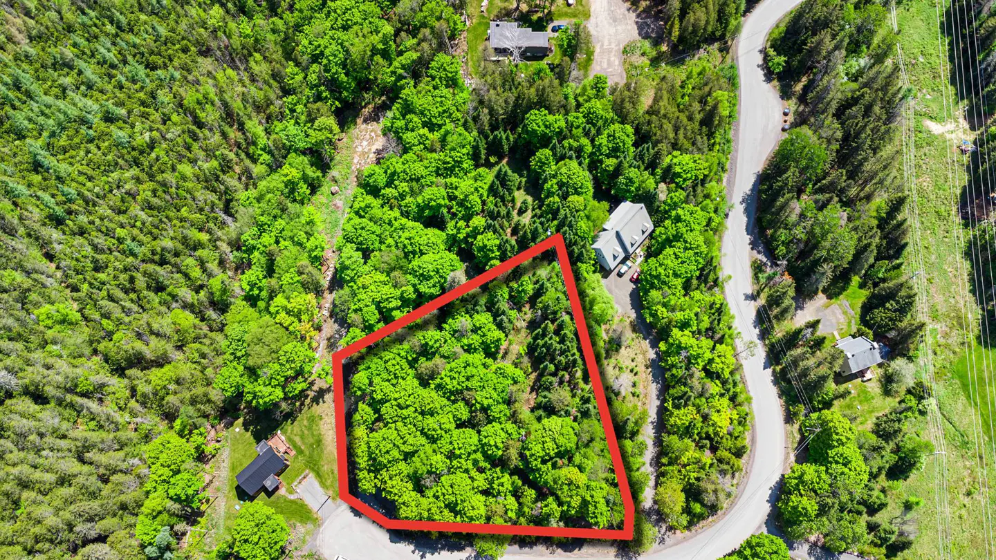 Aerial view of a wooded lot outlined in red, surrounded by green trees and a winding road.