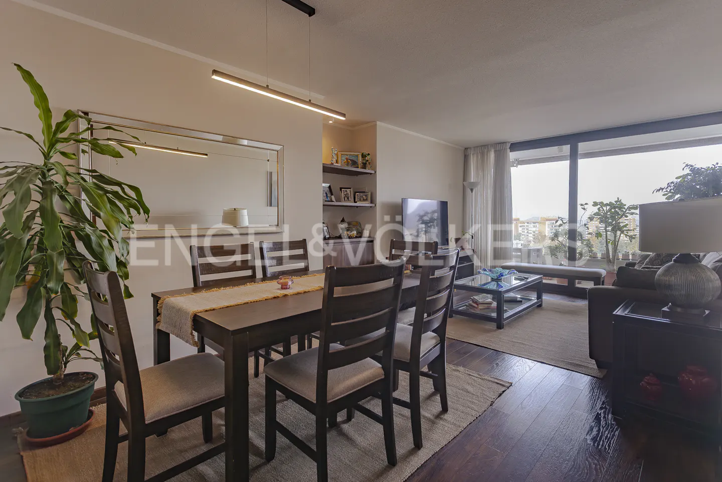 Open-concept living and dining area with dark wood floors, table, and large windows. A potted plant sits near the dining table.