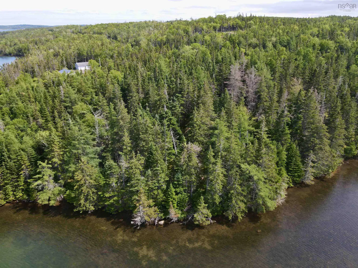 Aerial view of a dense green forest bordering a calm lake, with a small white house visible nestled among the trees.