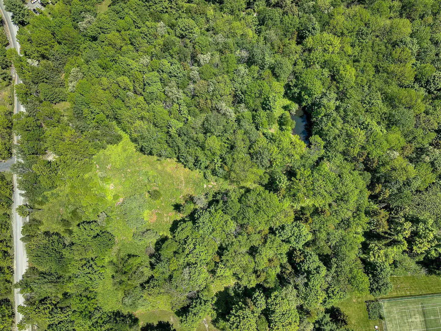 Aerial view of a lush green forest with a small pond, a grassy clearing, and a road on the left. A tennis court is visible in the lower right corner.