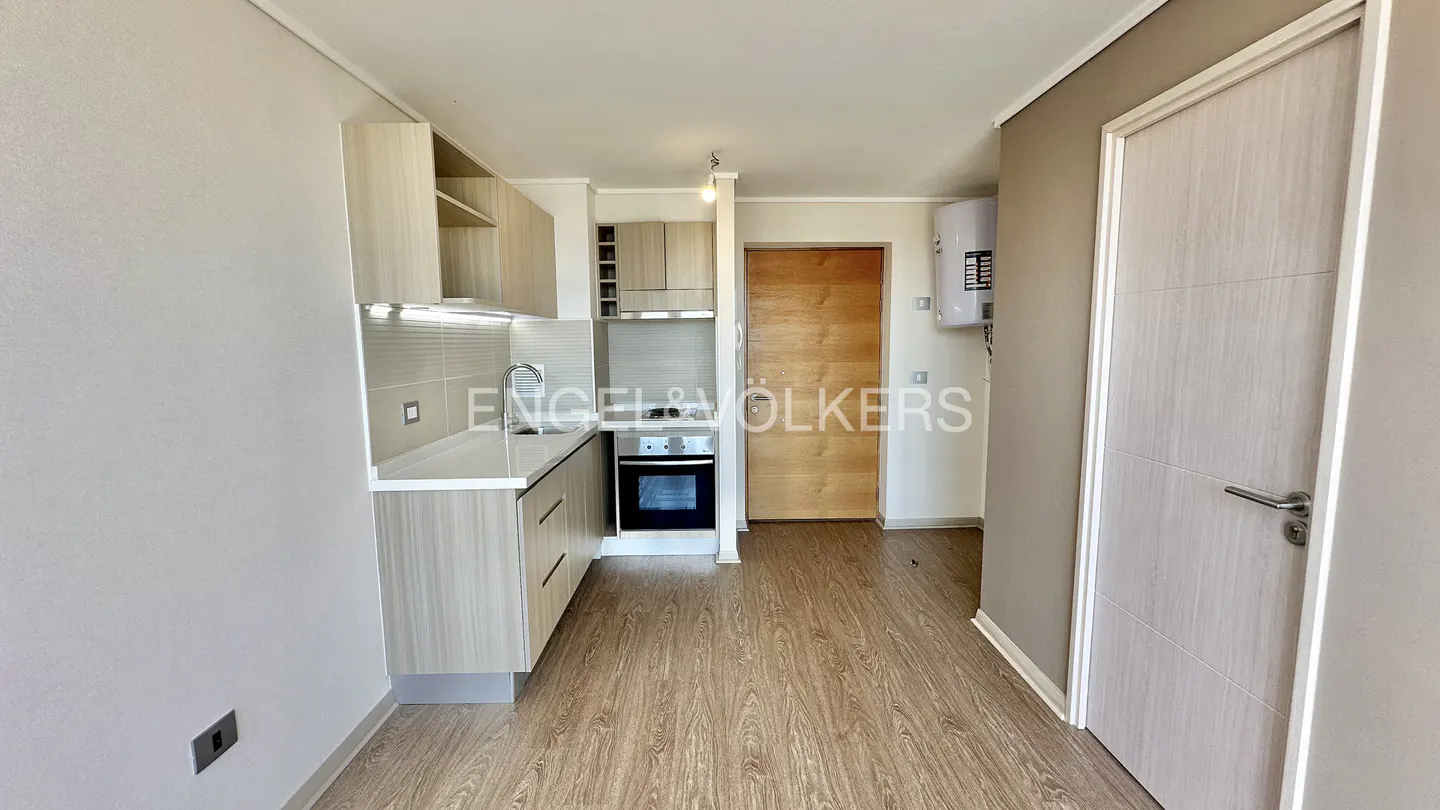 A bright, modern kitchen with light wood cabinets, stainless steel appliances, and wood-look flooring. A white door is on the right.