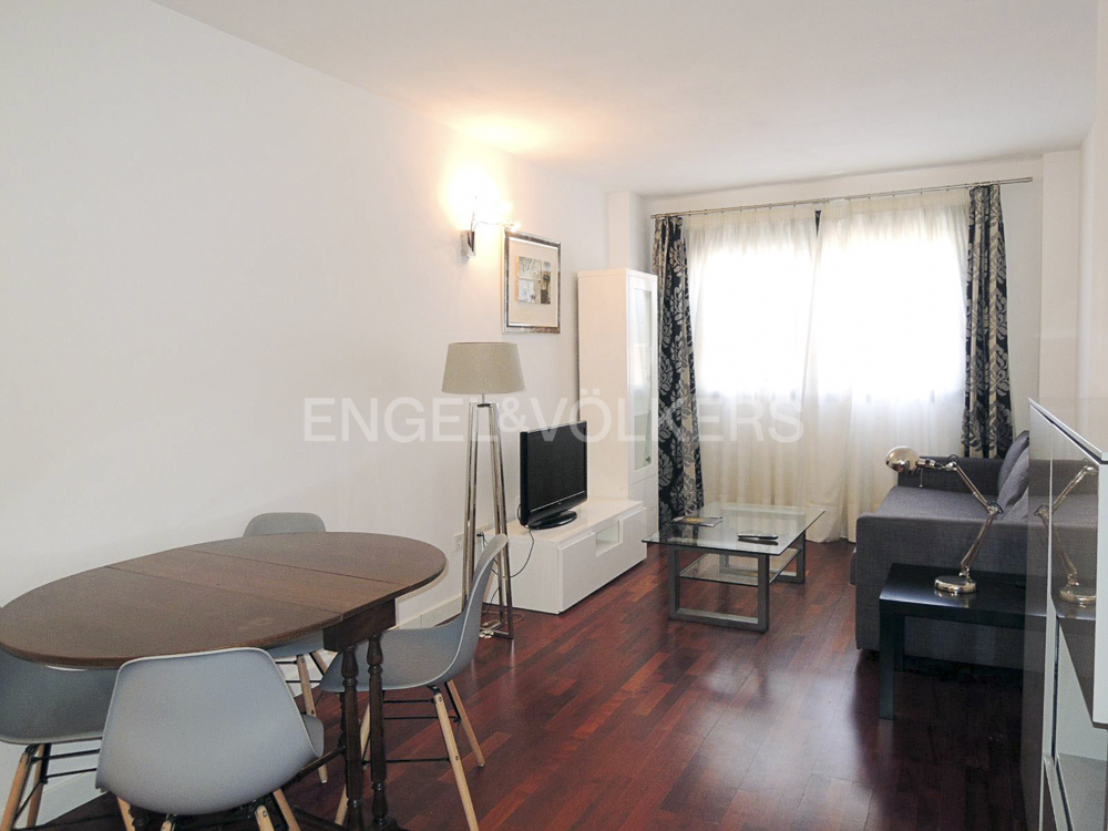 Great 1-bedroom apartment in El Viso