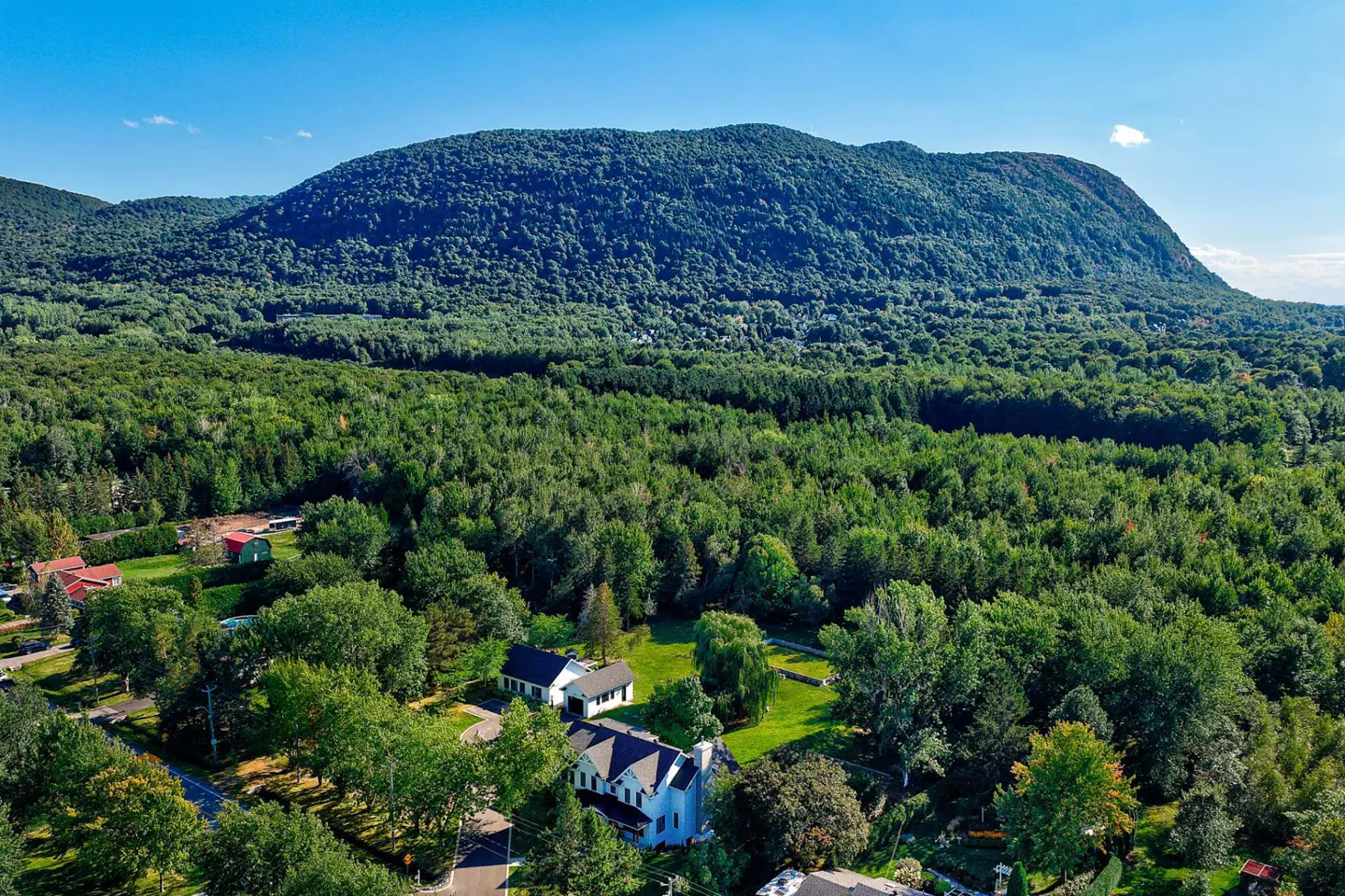 Aerial view of a white house with a black roof surrounded by green trees and a large mountain in the background under a blue sky.
