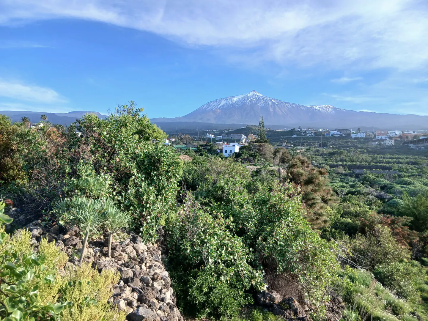 Scenic view of Tenerife with lush greenery, white houses, and Mount Teide in the background under a blue sky.