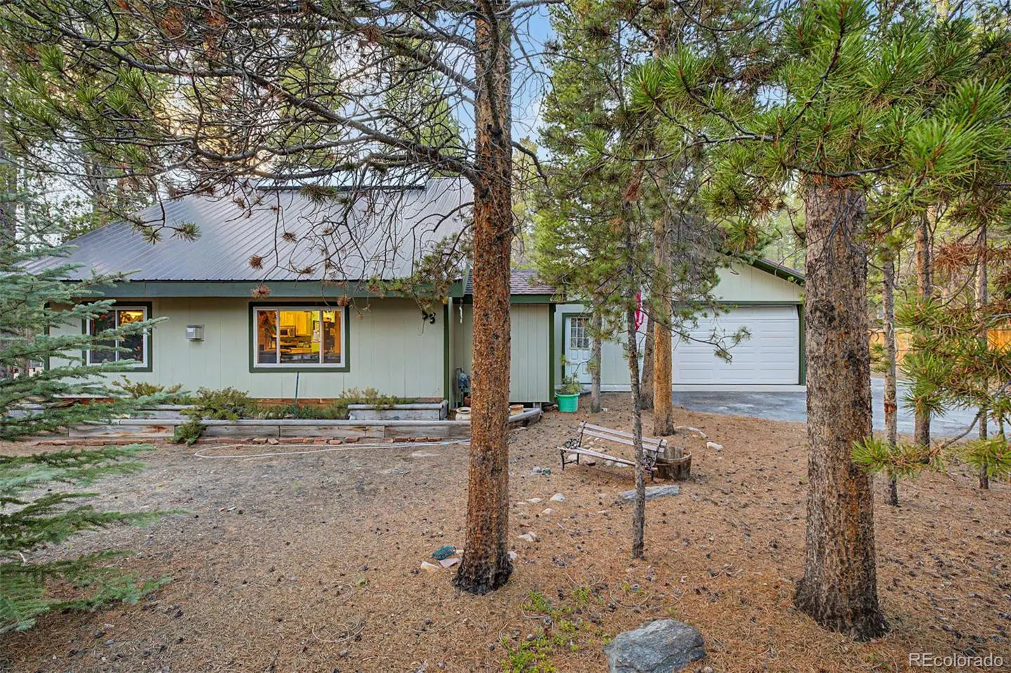 Exterior of a light green house with a metal roof, surrounded by pine trees and a yard covered in pine needles. A bench sits near the front.