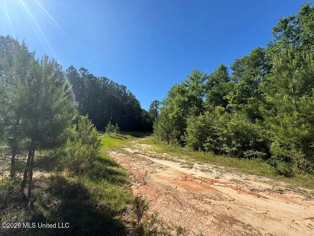 Dirt path leads into a forest under a clear blue sky. Green trees line the path.