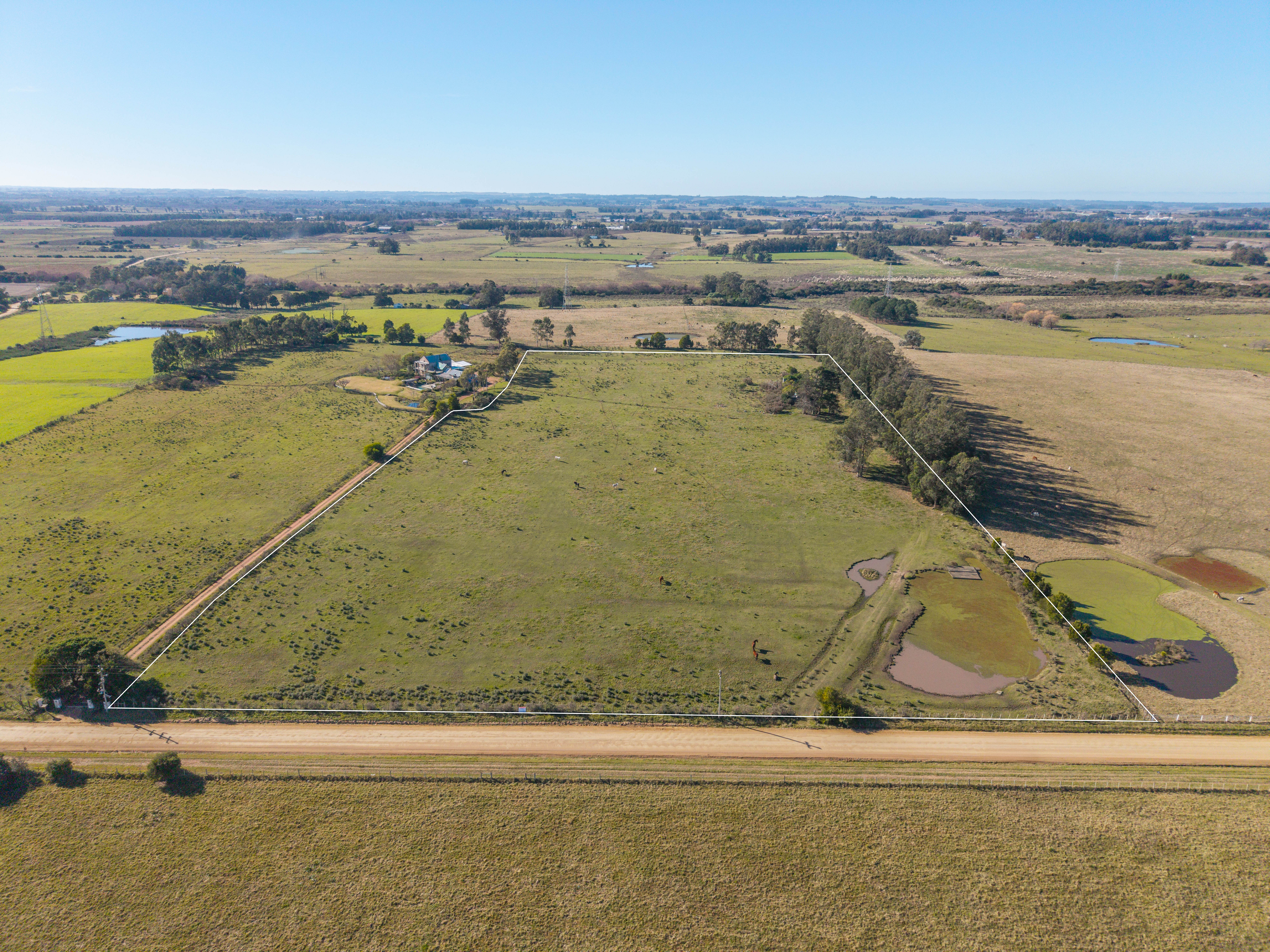Nature, privacy and excellent connectivity in one of Maldonado’s most up-and-coming areas
