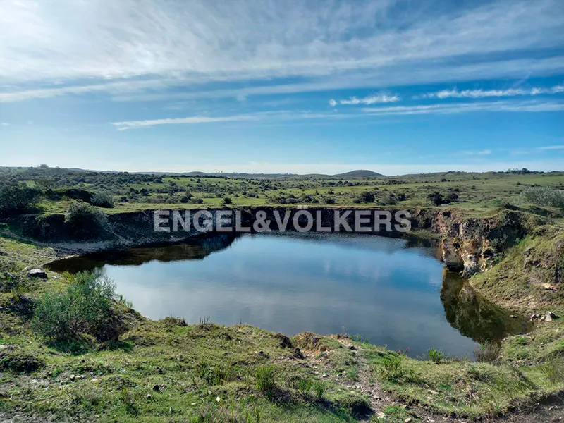 A small, calm pond sits in a grassy, rocky landscape under a bright blue sky with wispy clouds.