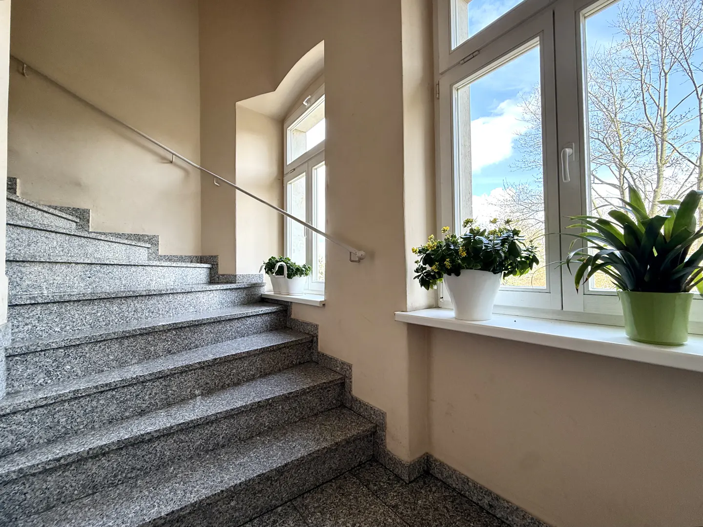 Interior view of a staircase with granite steps and a metal handrail, next to windows with potted plants.